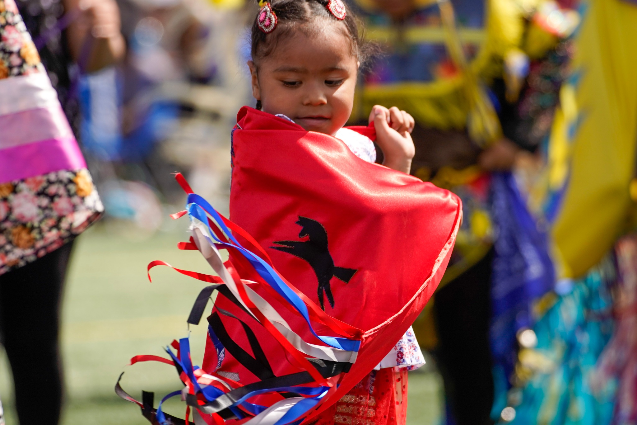 2023 Ben Calf Robe Traditional Pow Wow